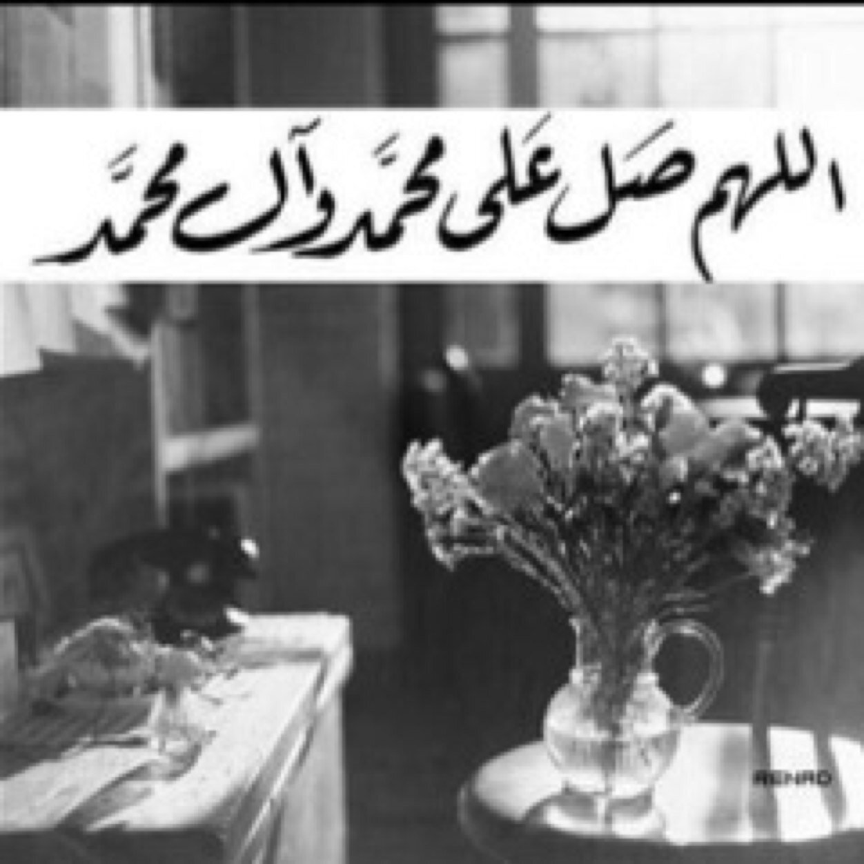 •لا اله الا الله. *استغفرالله العظيم*