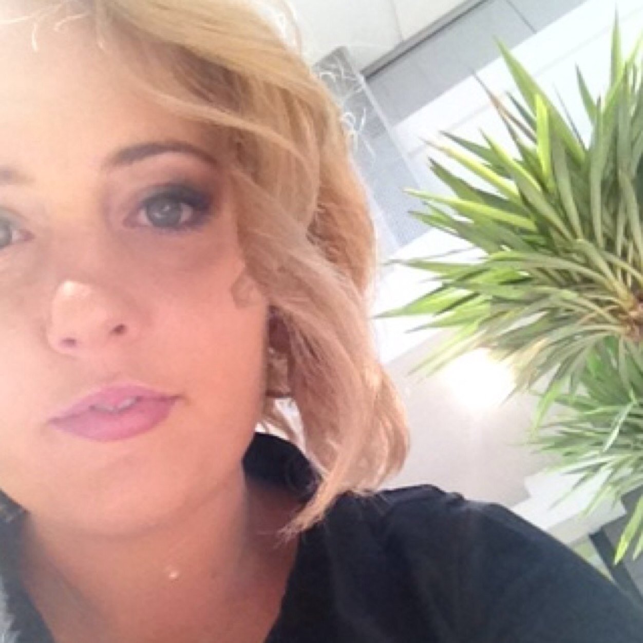 alexstoll395's profile picture. 