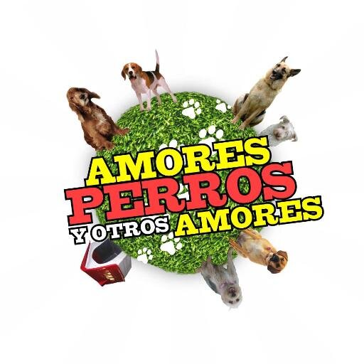 Domingos 12:30 por Canal 8 de Córdoba - por los sin voz y a favor de los derechos de los animales.