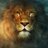 Firat_Aslan's profile image