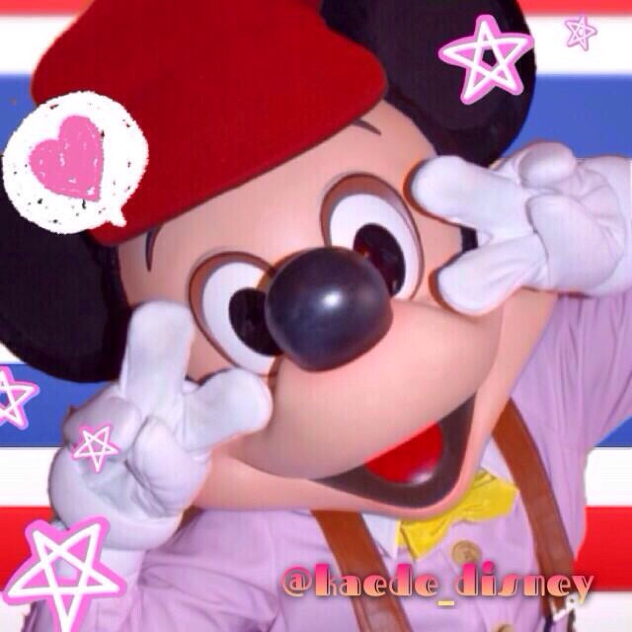 鼻ぴくとなであげが大好物。 DLR/HKDL/WDW/SHDR/AULANI✈︎ 2020.2 アンバFTW🐭💍2022.11.30👶🫶