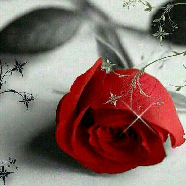 ‏سبحان الله وبحمده سبحان الله العظيم ♥♥