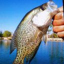 Don Mays Sr - @MaysSr - Twitter