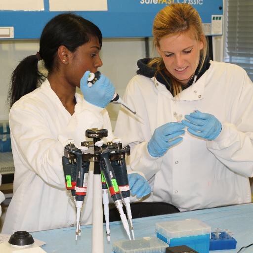 MSc Nano Med, UCL Profile