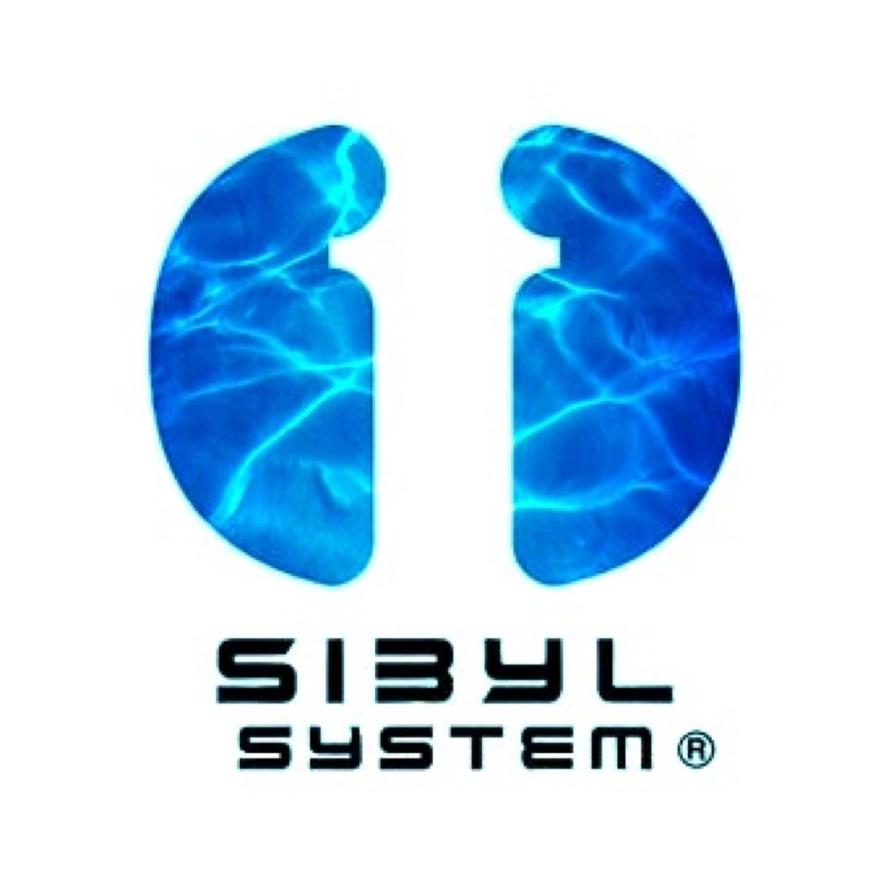 Sibyl System : An Artificial intelligence appeared in anime Psycho-Pass.
An eye for an eye , and a tooth for a tooth.