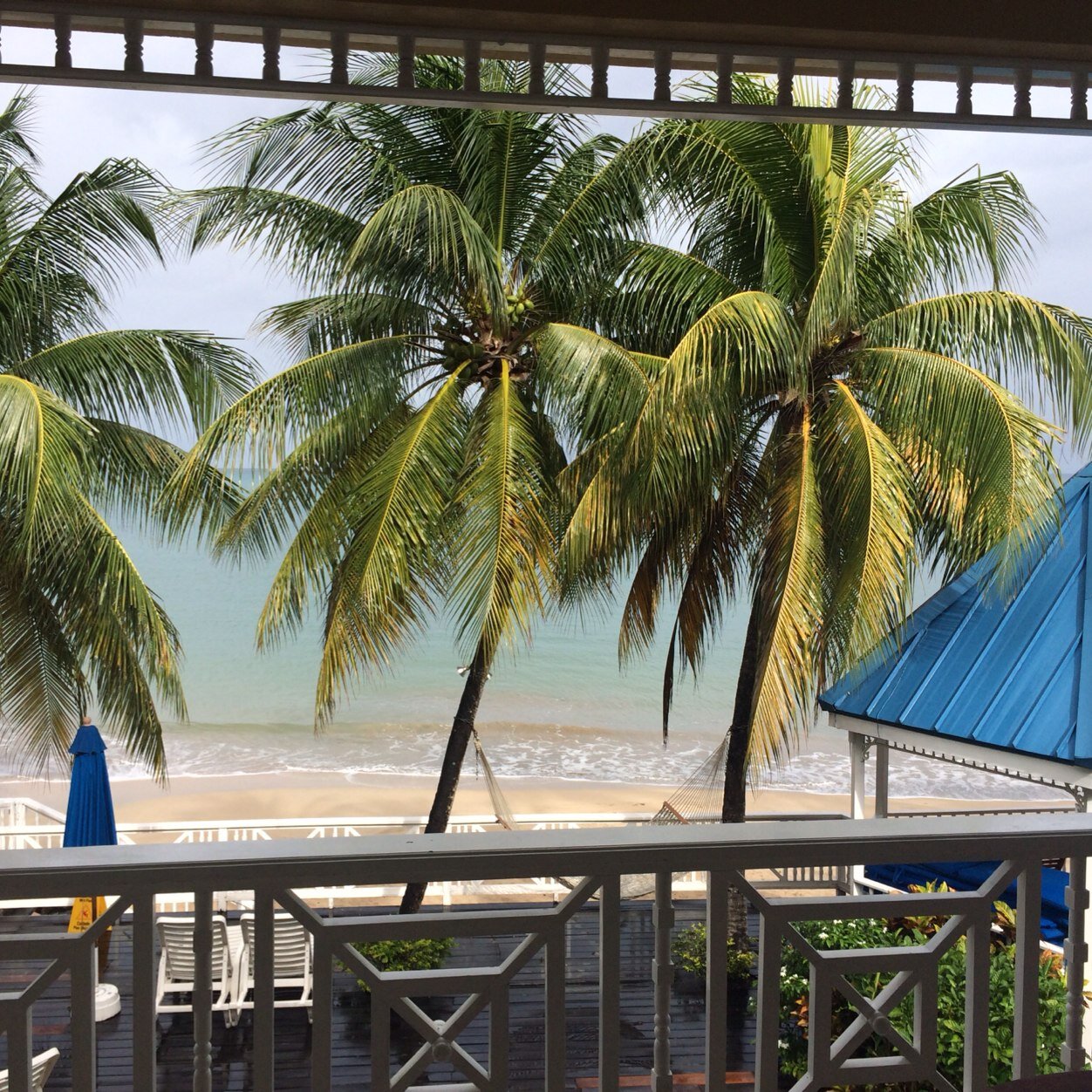 ulm0550's profile picture. 