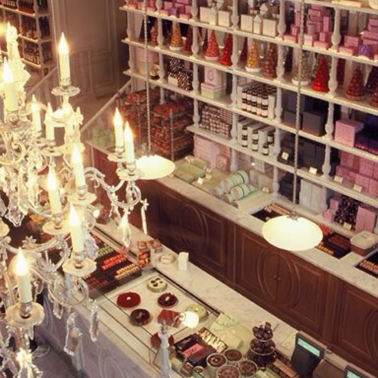 FloraAlnu's profile picture. I'm making changes day by day and following my dreams, I believe that life is beautiful and that we all can be happy.