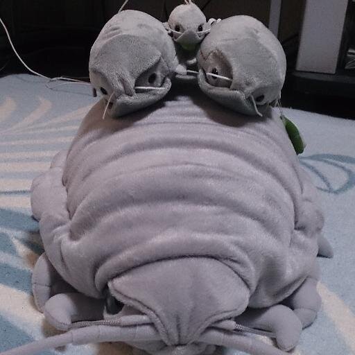 bon_portal's profile picture. 