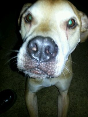 momcorie's profile picture. 