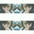 RaaniRan1's profile image