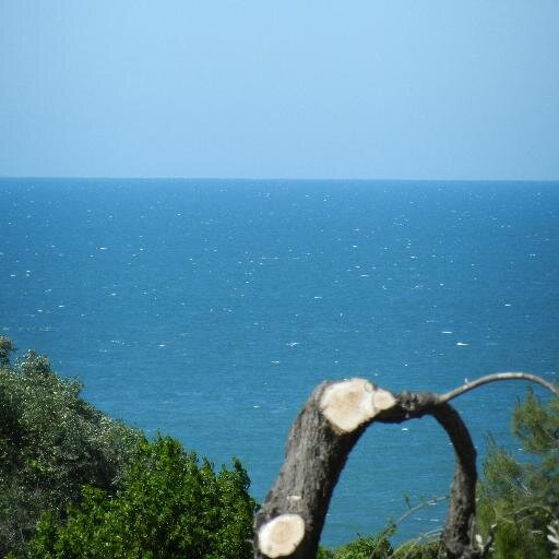 Right in the National Park of Gargano, 200 mt from sandy beach, 25 cottages scattered amidst a property with pine-olive trees. A haven with an unusual flair.