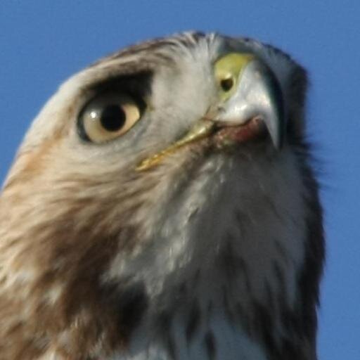 SlySylvan07's profile picture. Hockey player, golfer, Bruins Fan, Photographer