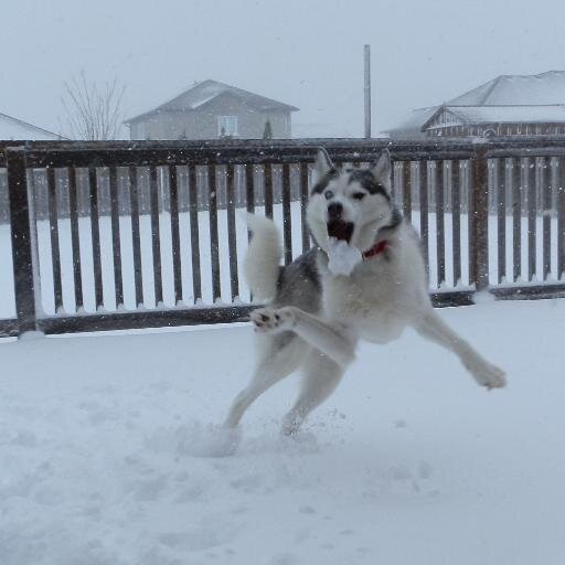 Jbaxt8977's profile picture. Currently recruiting for North Perth Recruitment Services and my clients