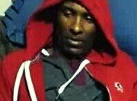 WolfSmoove's profile picture. 