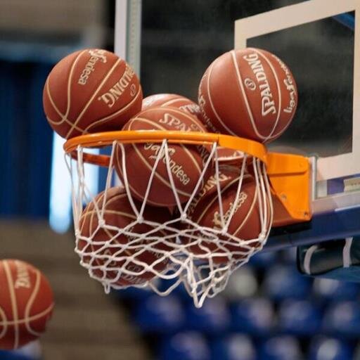 toniavant's profile picture. Some people want it to happen some wish it would happen others make it happen (MJordan) #Osona #Basket