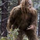 Josh Frazier - @frazierjt - Twitter