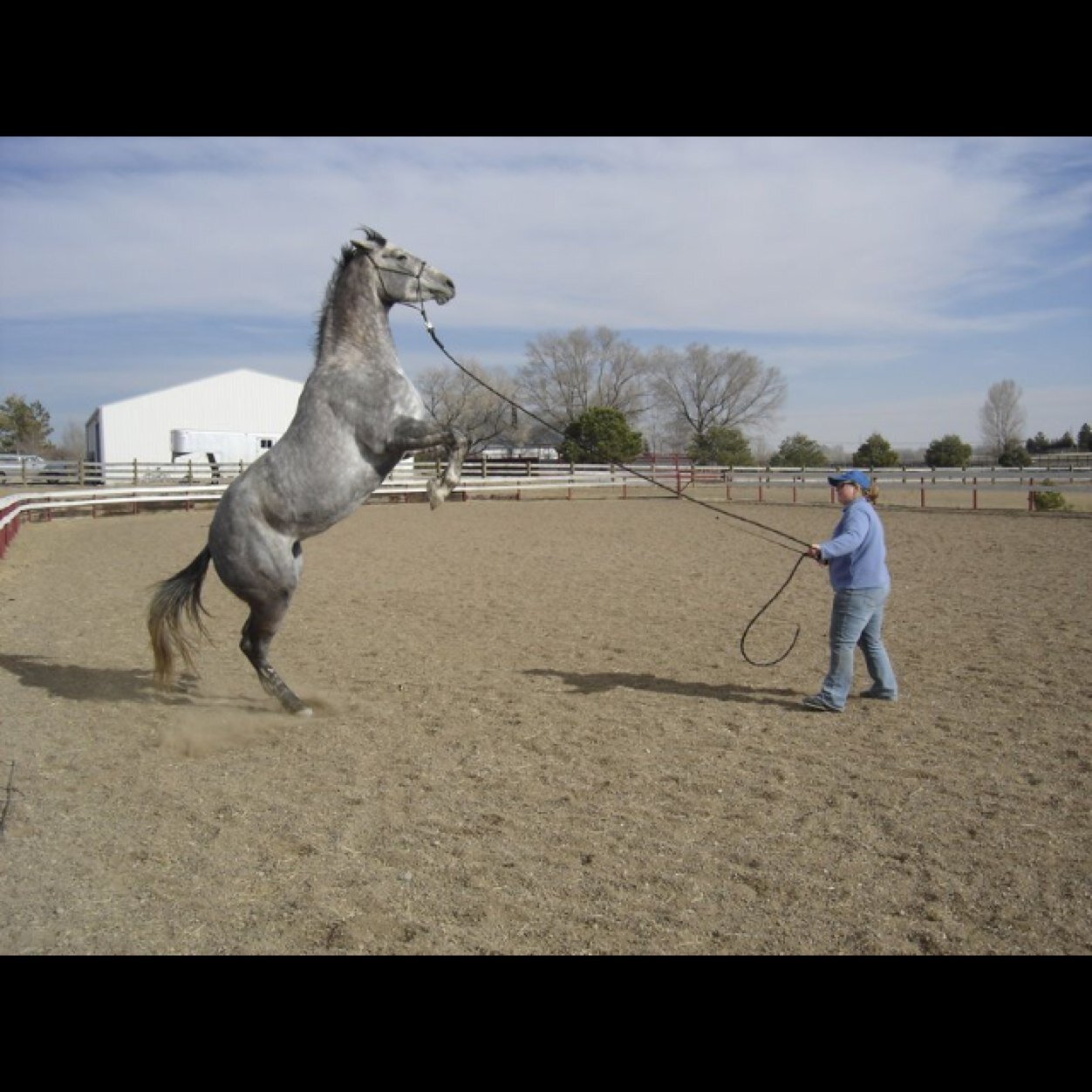 HorseProblems1's profile picture. I like horses not you, so leave.