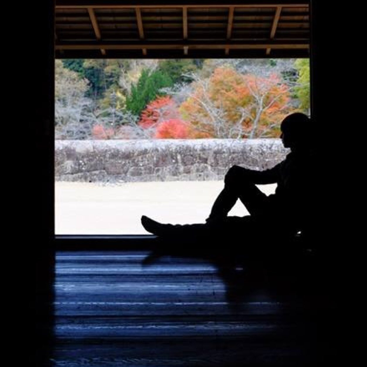 一級建築士 ゼネコン建築設計/京大建築門内研→三浦研/堀川9期/東宇治/京都南校CL/
