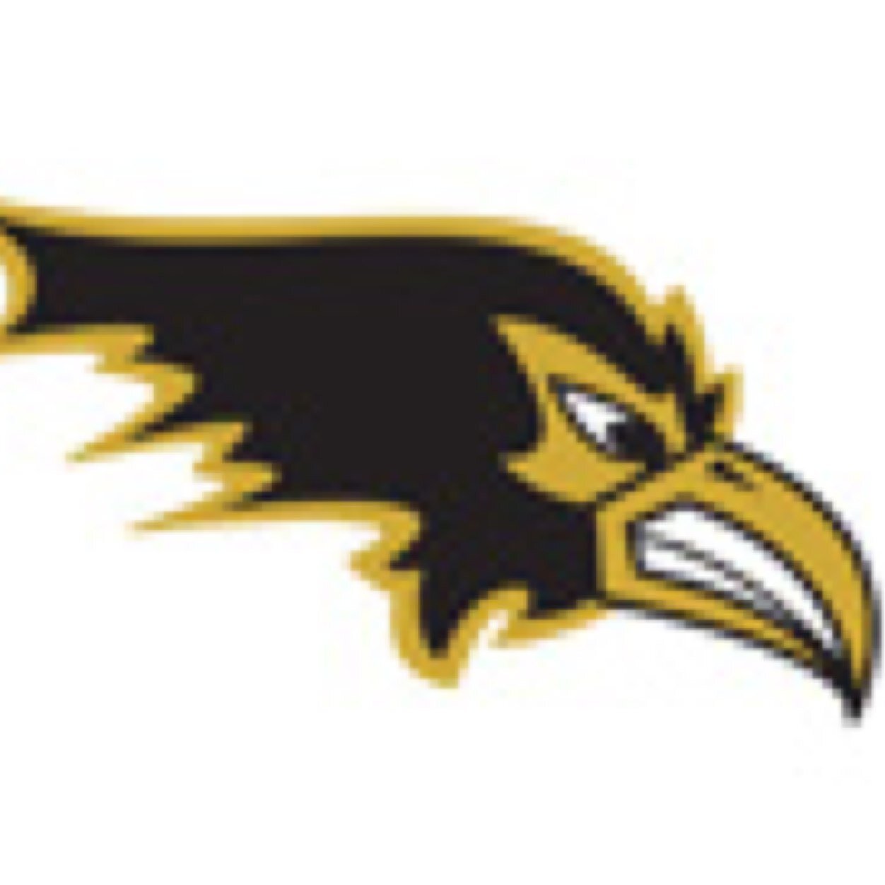 Official Twitter account for all things Track and Field from Ravenscroft School