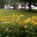 Arlene McDaniel - @amcd1978d - Twitter