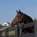 Endeavor Farm KY (@endeavorfarmky) Twitter profile photo Endeavor Farm KY (@endeavorfarmky) Twitter profile photo