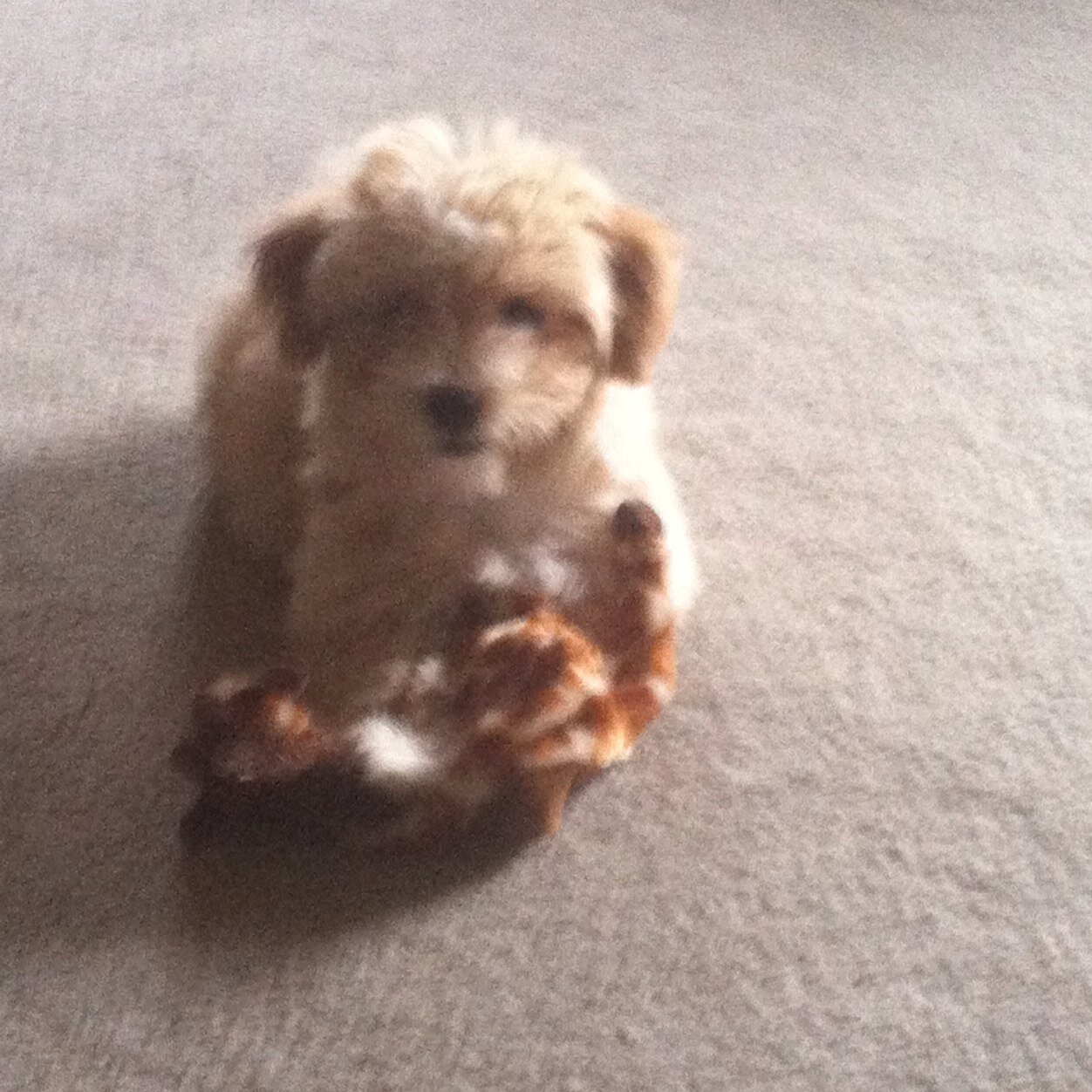 TCathymelton's profile picture. 