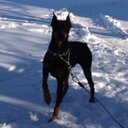 LESLIE RETTIG - @LESLIERETTIG - Twitter