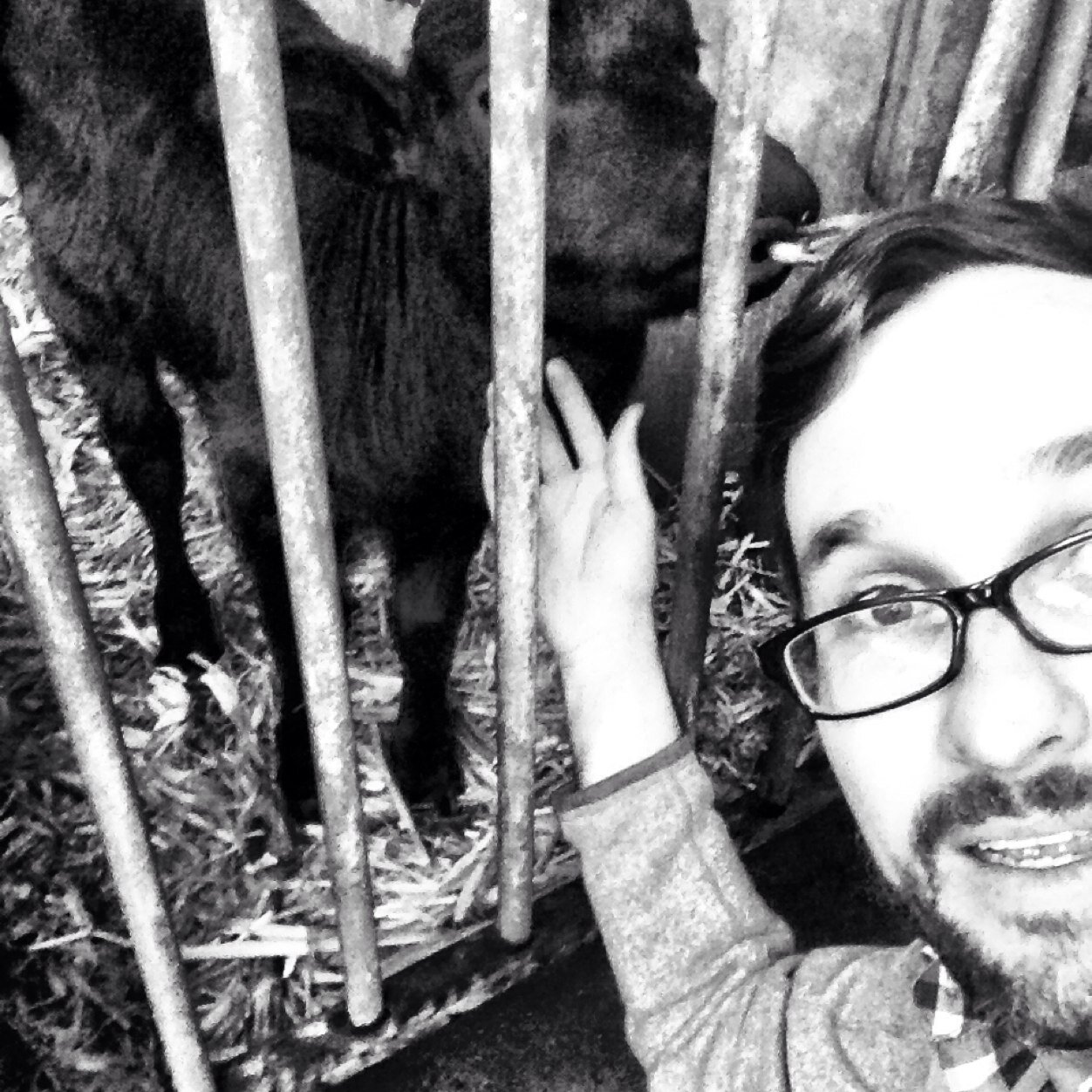 an_adam_t's profile picture. in no particular order: cats, food, politics, drinks