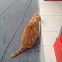 K - @Eli_karo - Twitter