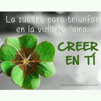 mebbraschi's profile picture. 