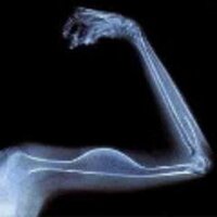 Никита Гончаров (@powlualinktherb) 's Twitter Profile Photo