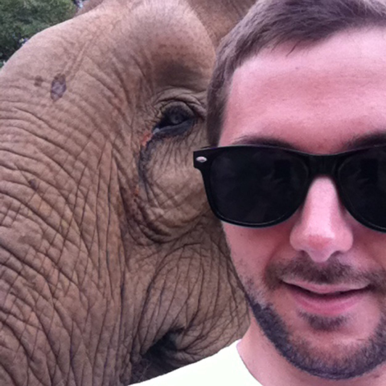 nshatz1's profile picture. 