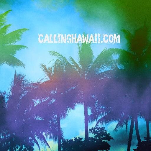 New Music Website. Reviews, News & Interviews.              For Feature Enquiries Please Contact: callinghawaii@gmail.com #hawaiirecords