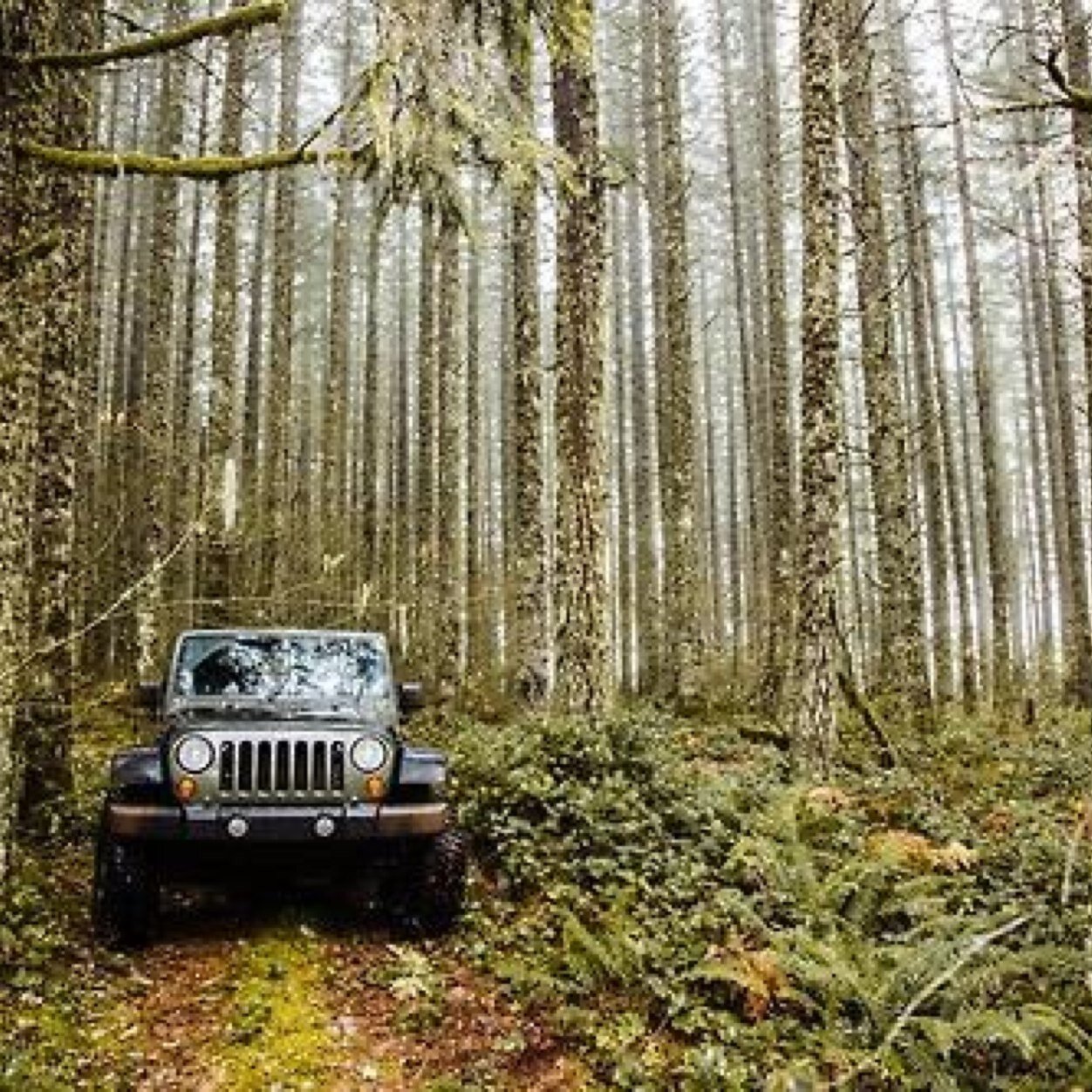 Jeeps are the only way to go. Tag us in your jeep pics or Kik them to callmehbrent!