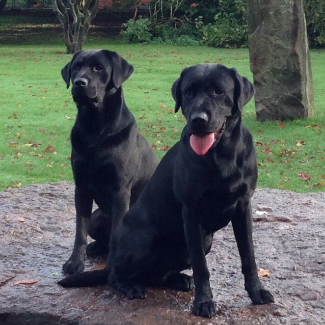 Garethlbrooks's profile picture. Tonyrefail RFC's fastest over 1 yard!