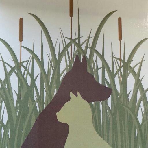 Prairie Animal Hospital serving the pets of Peoria IL and adding some humor and fun where we can!