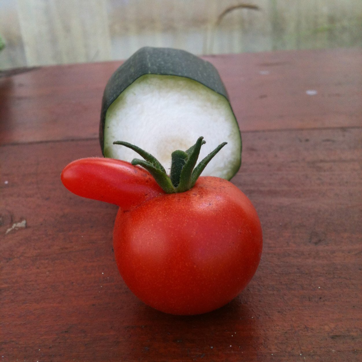 bogsaUibhist's profile picture. bogsa Uibhist or Uist Veg Box started as a voluntary mechanism to link producers and consumers. Now on Skye blogging on community food systems. Maria Scholten