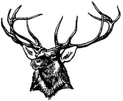 ECPSElks's profile picture. Elk City students will become life-long learners which will enable them to be cooperative, productive, responsible, and successful in a changing world.