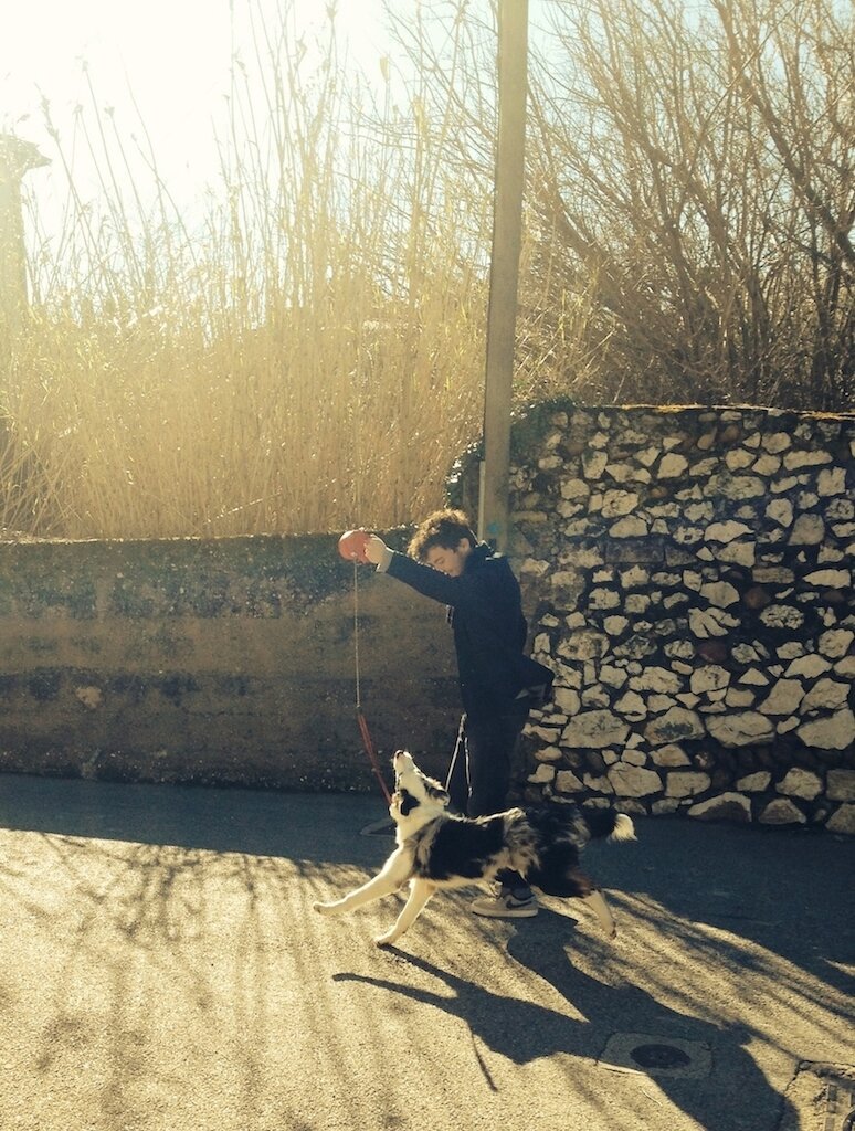 skouras_d's profile picture. 