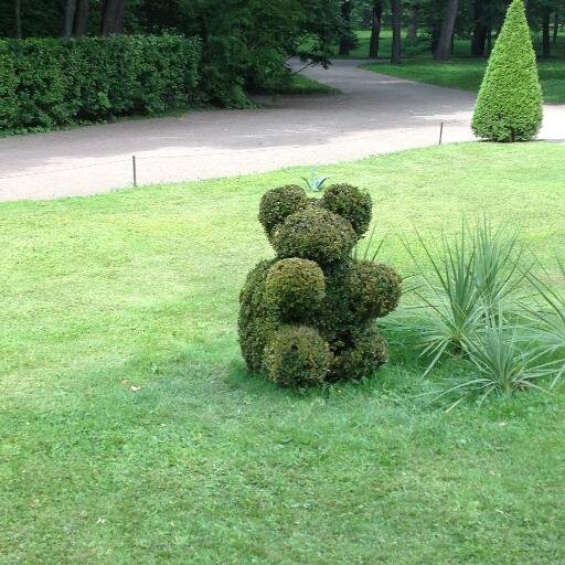 MatteoRiba's profile picture. Perito Elettrotecnico, felicemente marito e padre