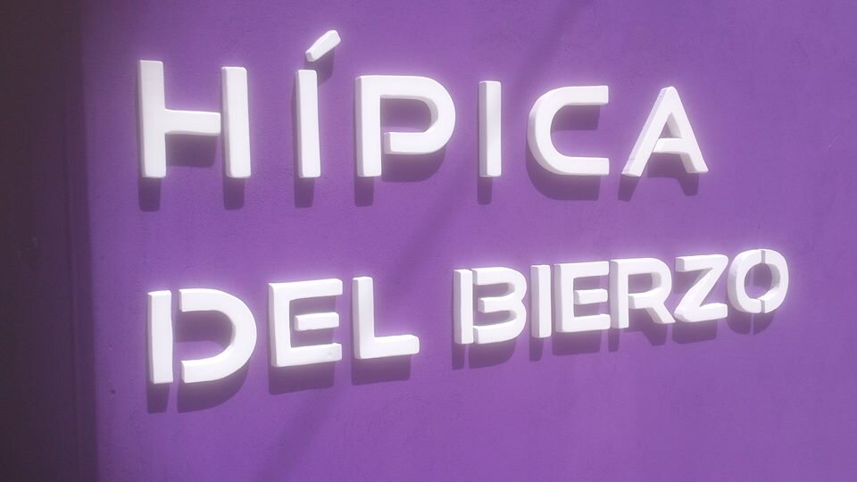 Escuela de equitación en Camponaraya (León) Doma clásica, saltos, cross, Horse Ball, Volteo, Pony Game....Clases con ponis para niños a partir de 5 años.