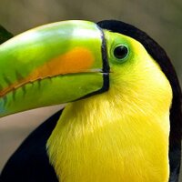 Gotomexico.co.uk (@gotomexicouk) 's Twitter Profile