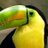 gotomexicoUk's profile image