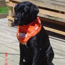 Deborah Justice - @djustice_wv - Twitter