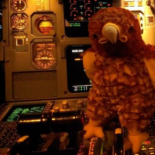 PltBeotch's profile picture. 