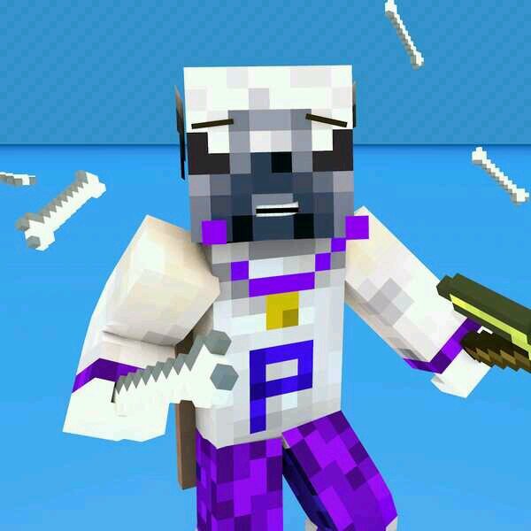 pugdoesmc's profile picture. 15 year old boy from Ireland, love ice hockey and minecraft and add me psn adybooboo