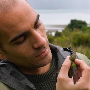 Behavioral ecophysiologist (or something like that),currently at @IREC_CSIC_UCLM Instagram: https://t.co/nXJ1fOkOqv