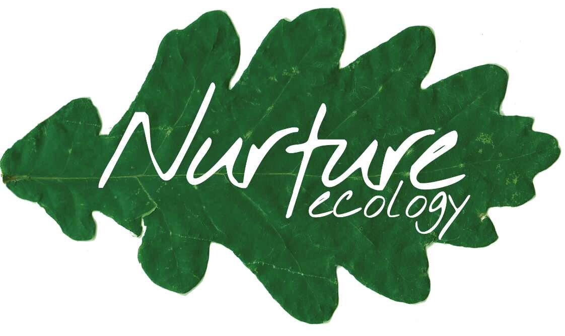 NurtureEcology's profile picture. Nurture Ecology is an independent Ecological Consultancy company based in the Channel Islands. Check out our website! http://t.co/1URqbyFjVX