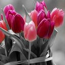 Daisy_Pitt - @Daisy_Pitt - Twitter