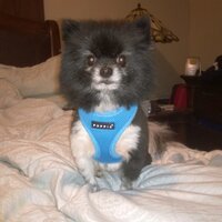Melissa Garrison (@mgarrison70) 's Twitter Profile
